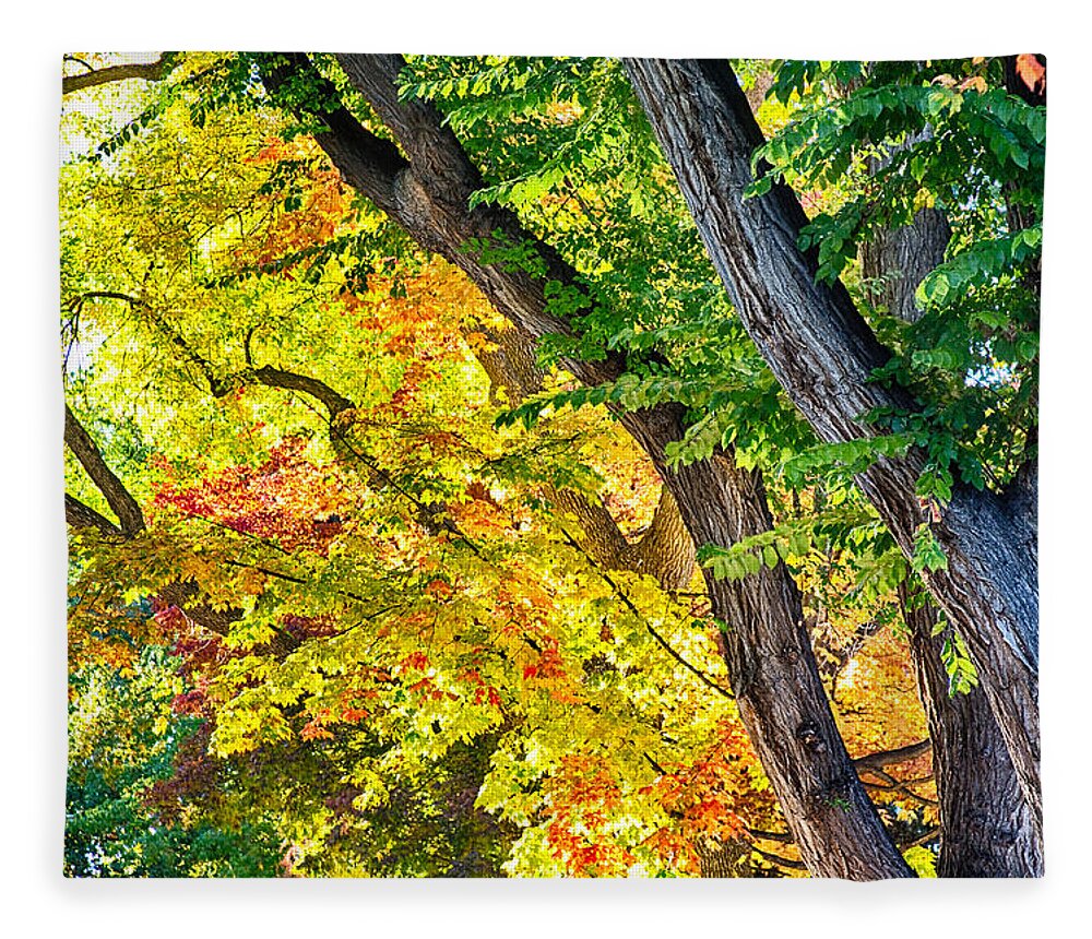Autumn Fleece Blanket featuring the photograph Autumn Season Leaves in Full Glory by James BO Insogna