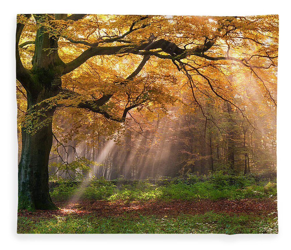 Tranquility Fleece Blanket featuring the photograph Autumn Woods, Peak District by John Finney Photography