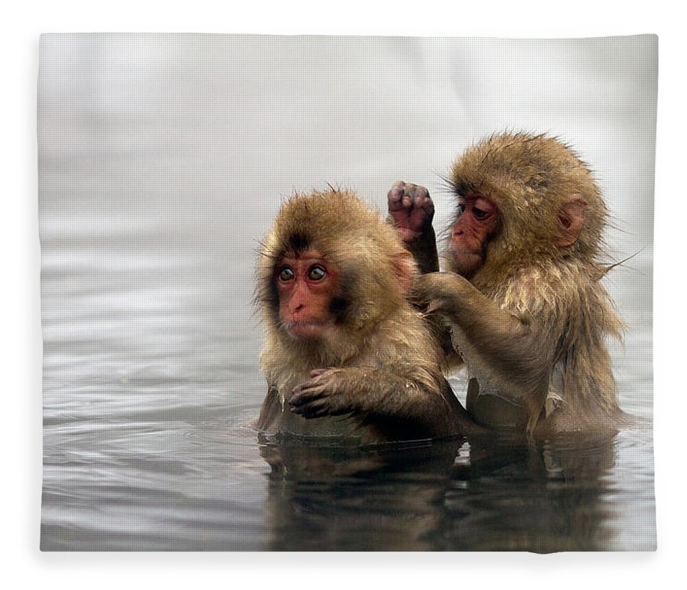 Animal Themes Fleece Blanket featuring the photograph Baby Japanese Macaques Snow Monkeys by Oscar Tarneberg