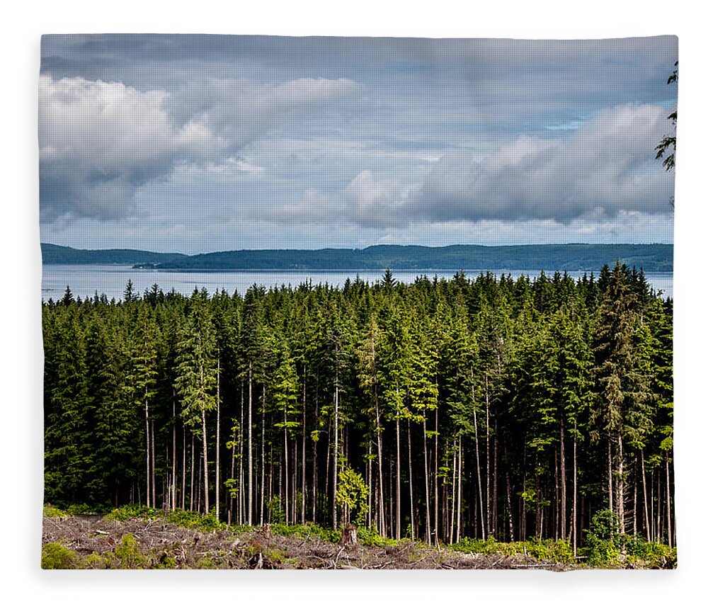Backroad Fleece Blanket featuring the photograph Logging Road Landscape by Roxy Hurtubise