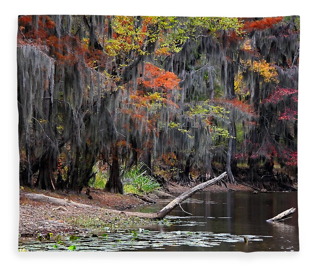 Autumn Fleece Blanket featuring the photograph Backwater Autumn 2 by Lana Trussell