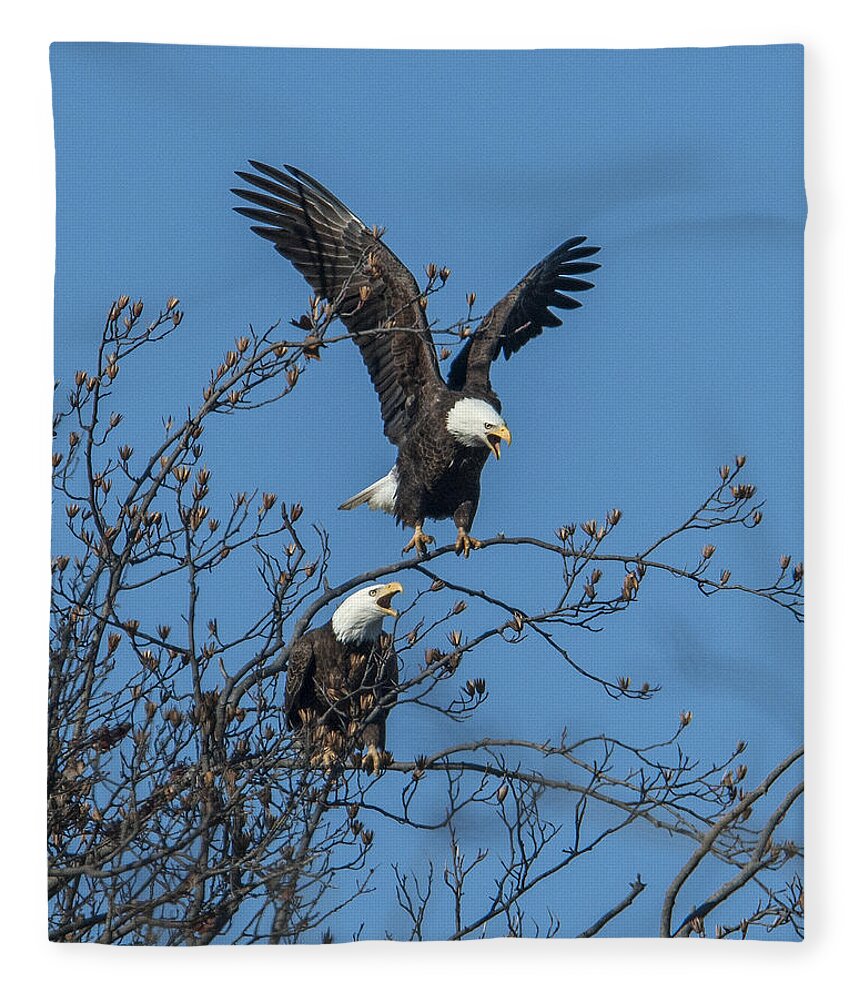 Marsh Fleece Blanket featuring the photograph Bald Eagles Screaming DRB169 by Gerry Gantt