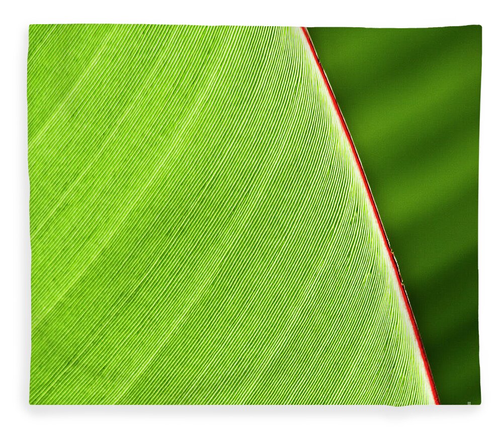 Leaf Fleece Blanket featuring the photograph Banana Leaf by Heiko Koehrer-Wagner