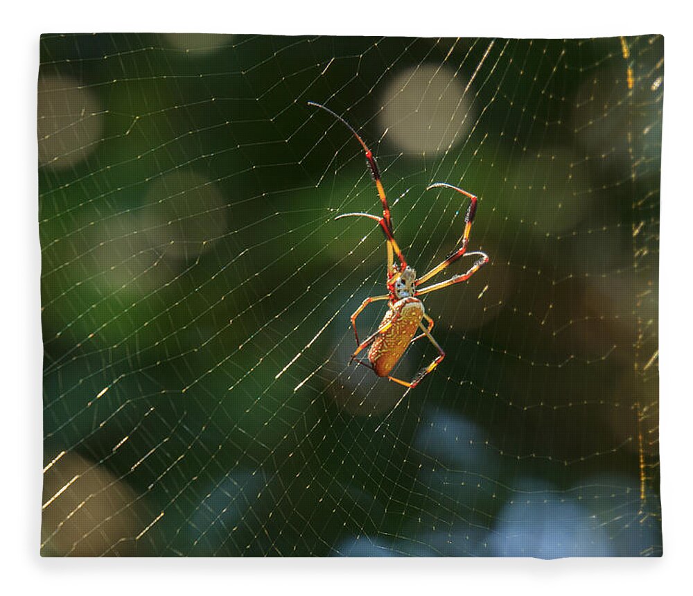 South Carolina Fleece Blanket featuring the photograph Banana Spider in Web by Patricia Schaefer