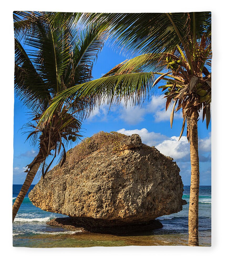 Barbados Fleece Blanket featuring the photograph Barbados Beach by Raul Rodriguez