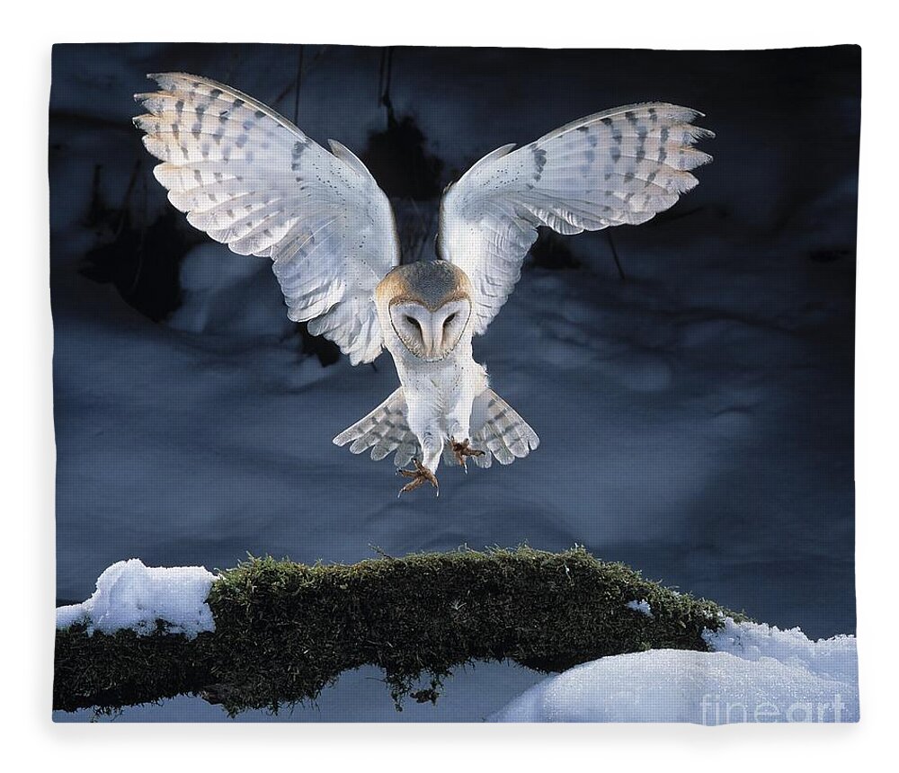 Bird Fleece Blanket featuring the photograph Barn Owl Landing by Manfred Danegger