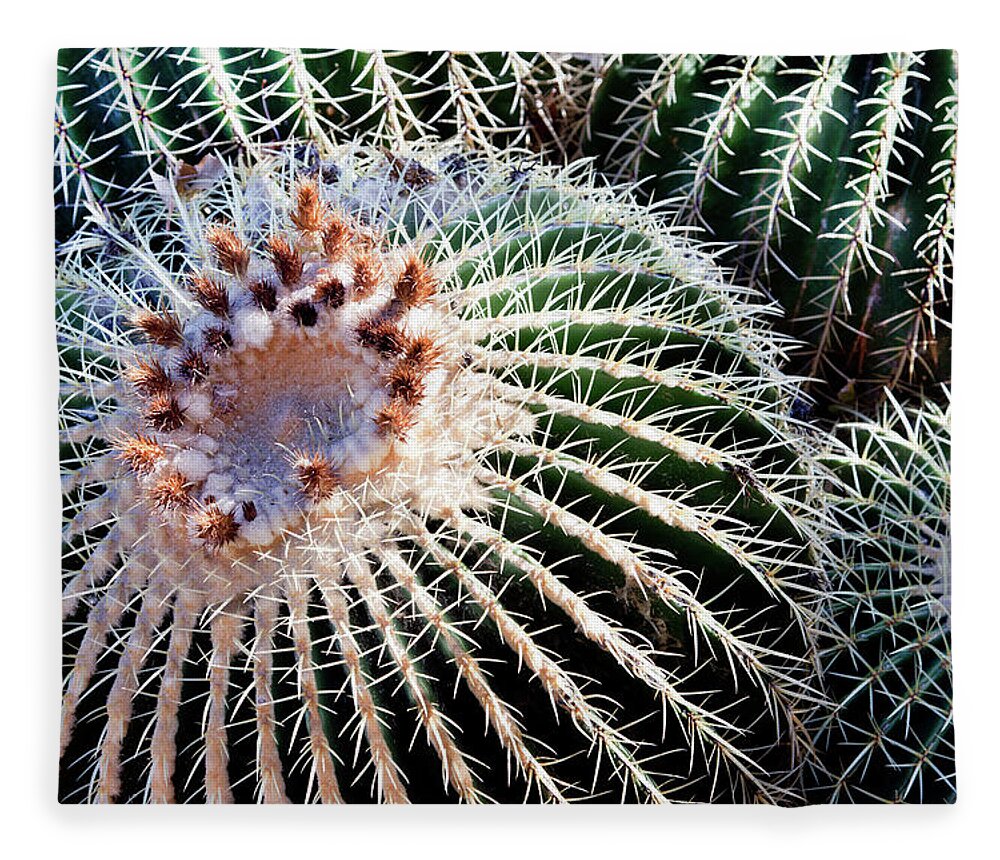 Care Fleece Blanket featuring the photograph Barrel Cacti by Steve@colorado