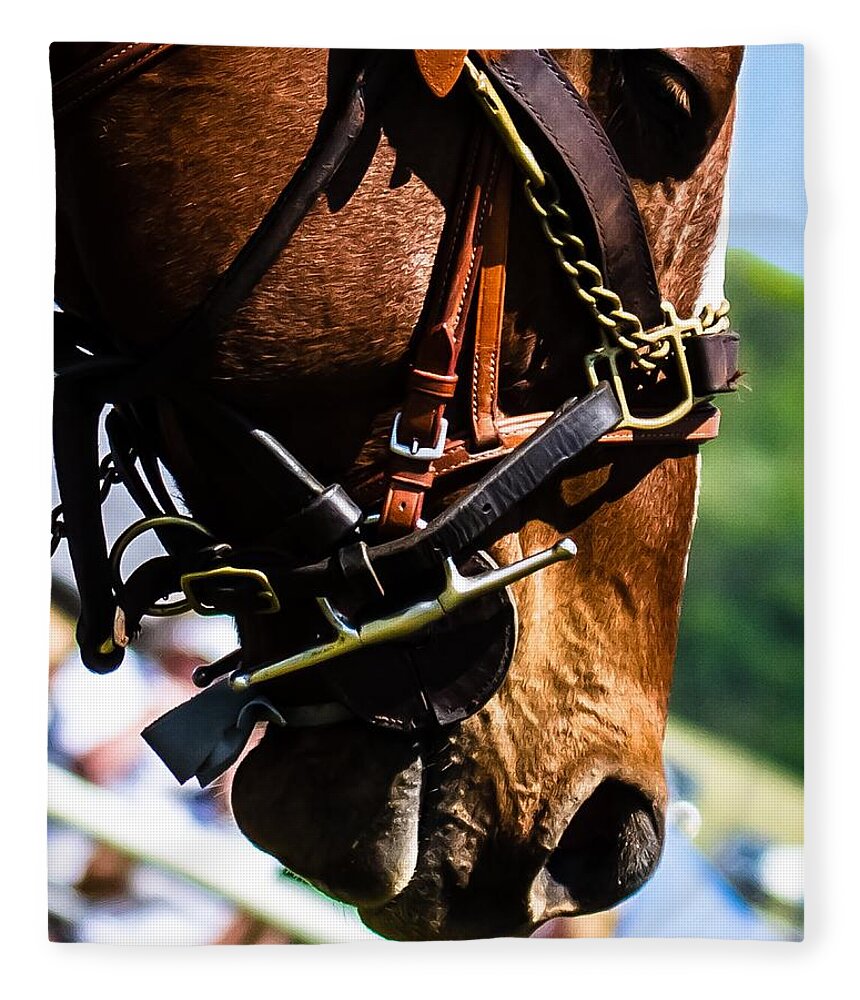 Steeplechase Fleece Blanket featuring the photograph Be quiet I'm trying to think by Robert L Jackson