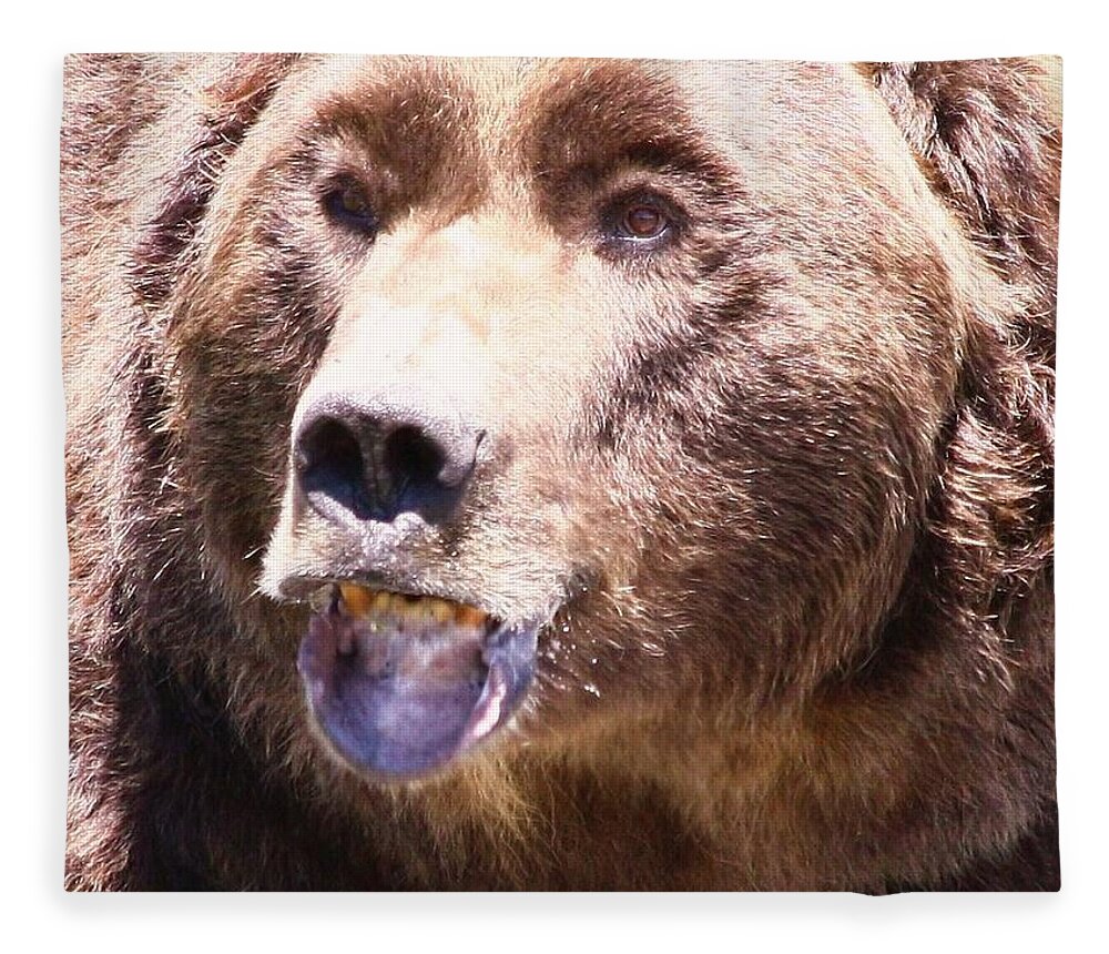 Grizzly Fleece Blanket featuring the photograph Bearing My Teeth by Shane Bechler