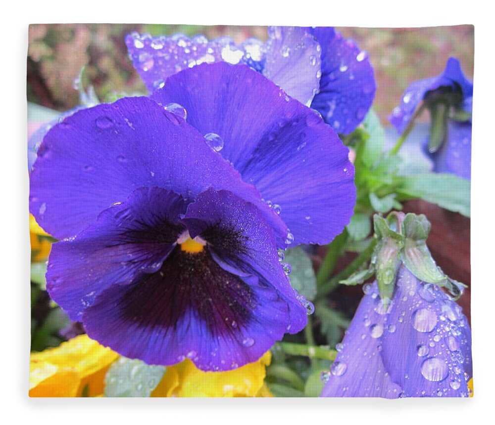 Pense Fleece Blanket featuring the photograph Beauties in the rain by Rosita Larsson