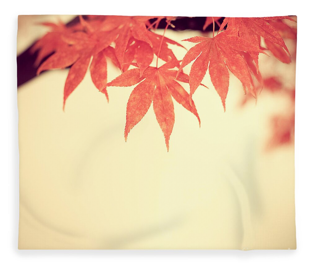 Autumn Fleece Blanket featuring the photograph Beautiful Fall by Hannes Cmarits