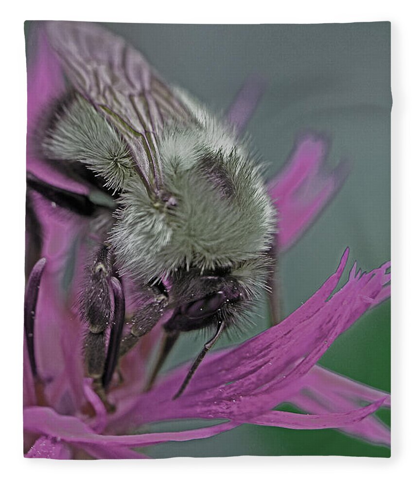 Insects Fleece Blanket featuring the photograph Bee Calm by Jennifer Robin