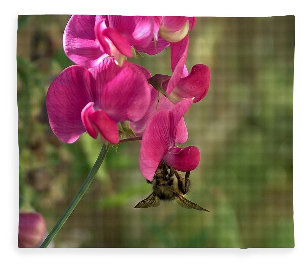 Still Life Fleece Blanket featuring the photograph Bee Hanging Around by Wayne Enslow