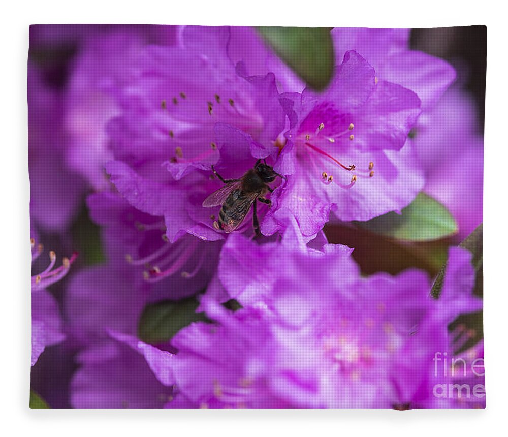 Bee On Rhododendrons Fleece Blanket featuring the photograph Bee on Rhododendrons by Yefim Bam