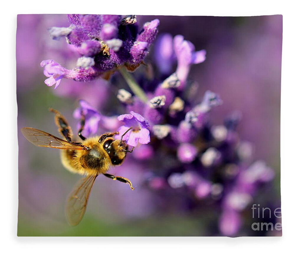 Bee Fleece Blanket featuring the photograph Bee on the Lavender Branch by Amanda Mohler