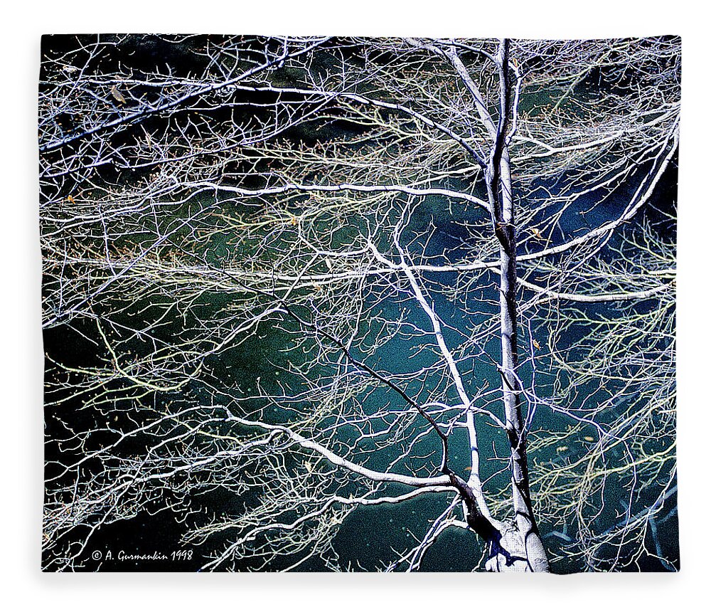 Patterns Fleece Blanket featuring the photograph Beech Tree Highlights and Shadows Digital Art by A Macarthur Gurmankin