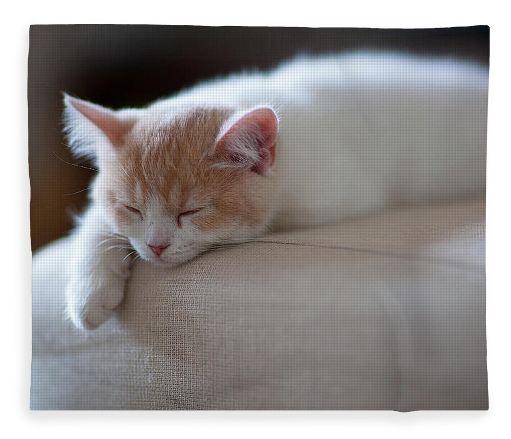 Pets Fleece Blanket featuring the photograph Beige And White Kitten Sleeping On by Benjamin Torode