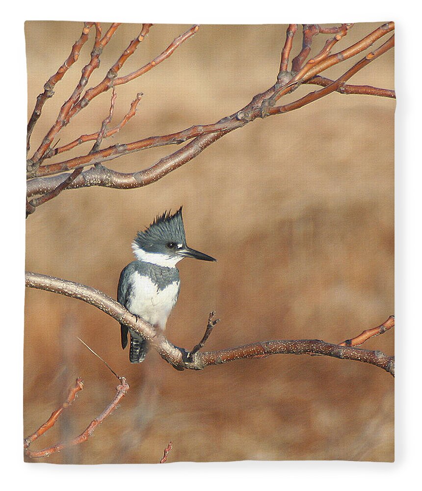 Wildlife Fleece Blanket featuring the pyrography Belted Kingfisher by William Selander