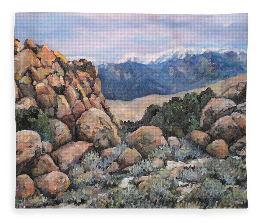 Nature Fleece Blanket featuring the painting Benton by Donna Tucker