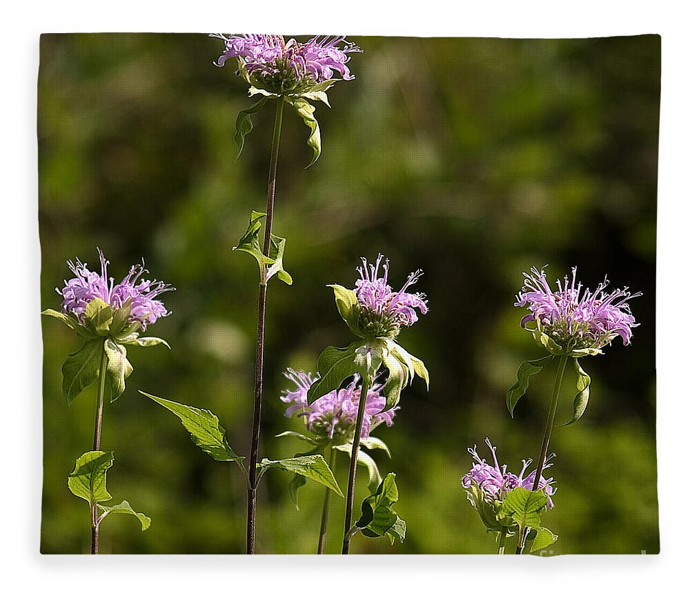 Arboretum Fleece Blanket featuring the photograph Bergamot by Steven Ralser