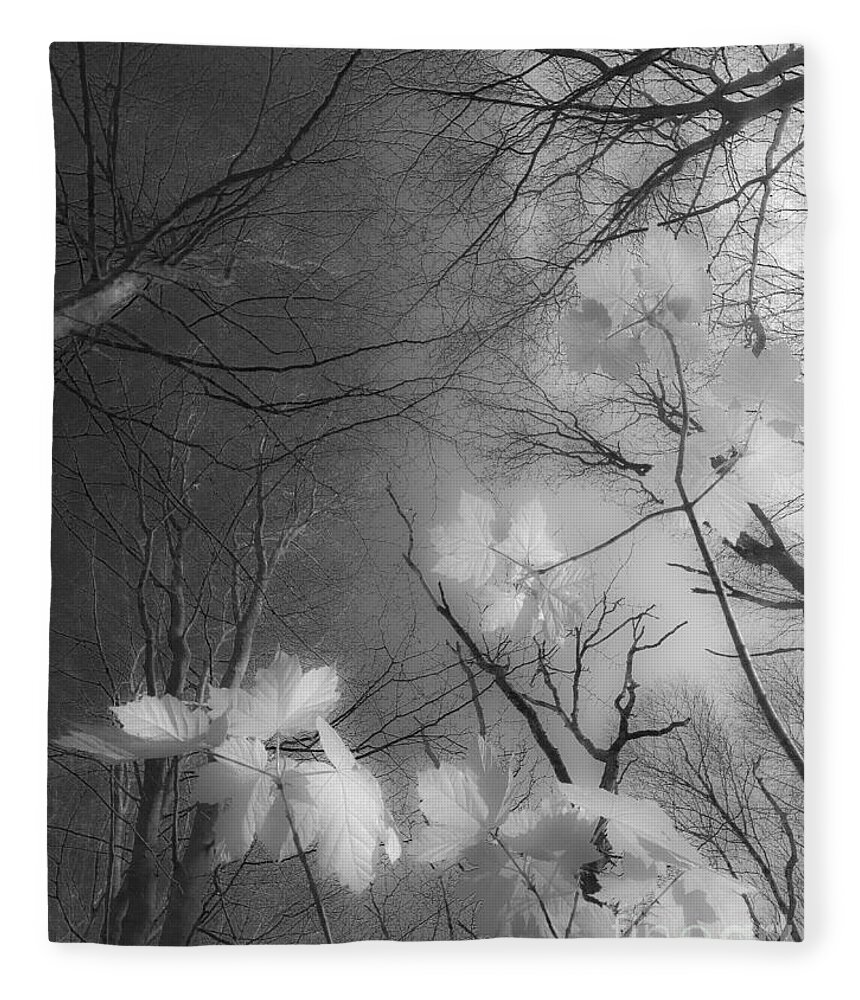 Between Black And White Fleece Blanket featuring the photograph Between Black and White-02 by Casper Cammeraat
