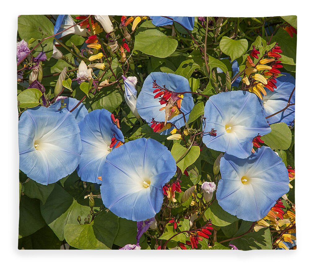 Scenic Fleece Blanket featuring the photograph Bhubing Palace Gardens Morning Glory DTHCM0433 by Gerry Gantt