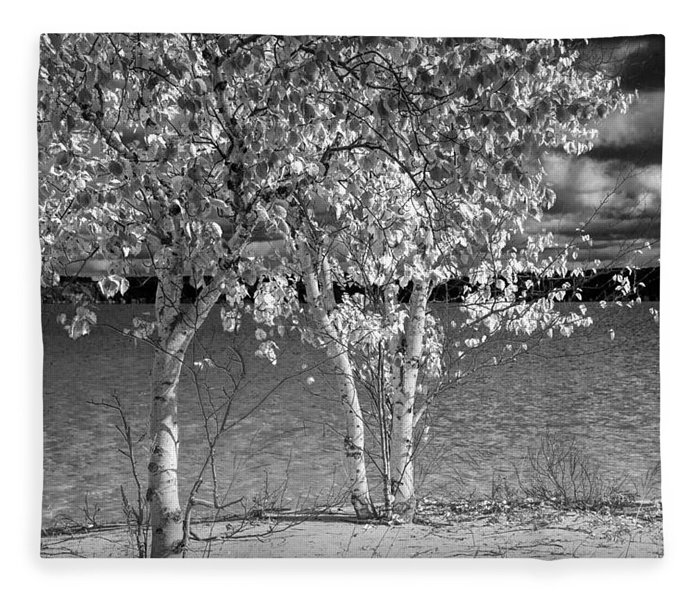 Art Fleece Blanket featuring the photograph Birch Trees along the shore by Randall Nyhof