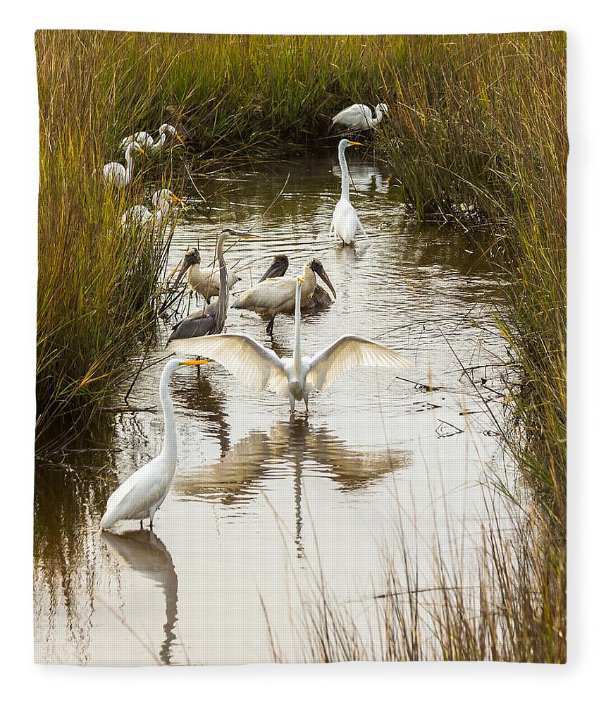 Lowcountry Fleece Blanket featuring the photograph Bird Brunch 2 by Patricia Schaefer