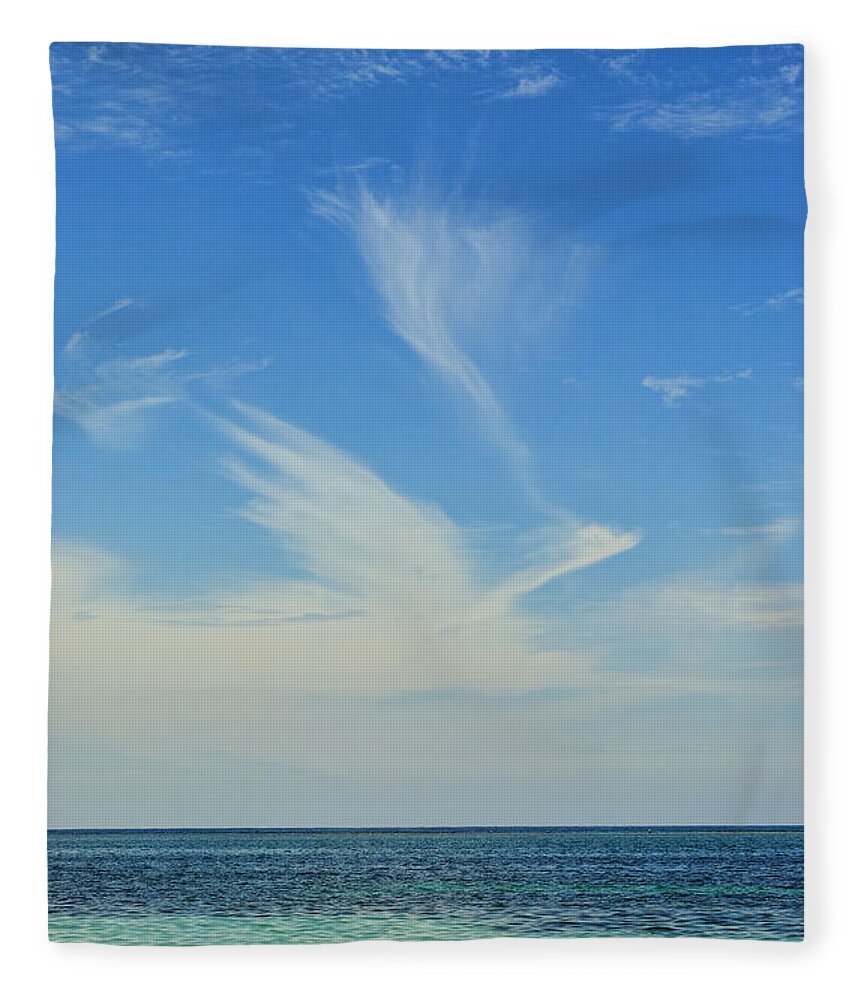 Bird Fleece Blanket featuring the photograph Bird Cloud by David Hart