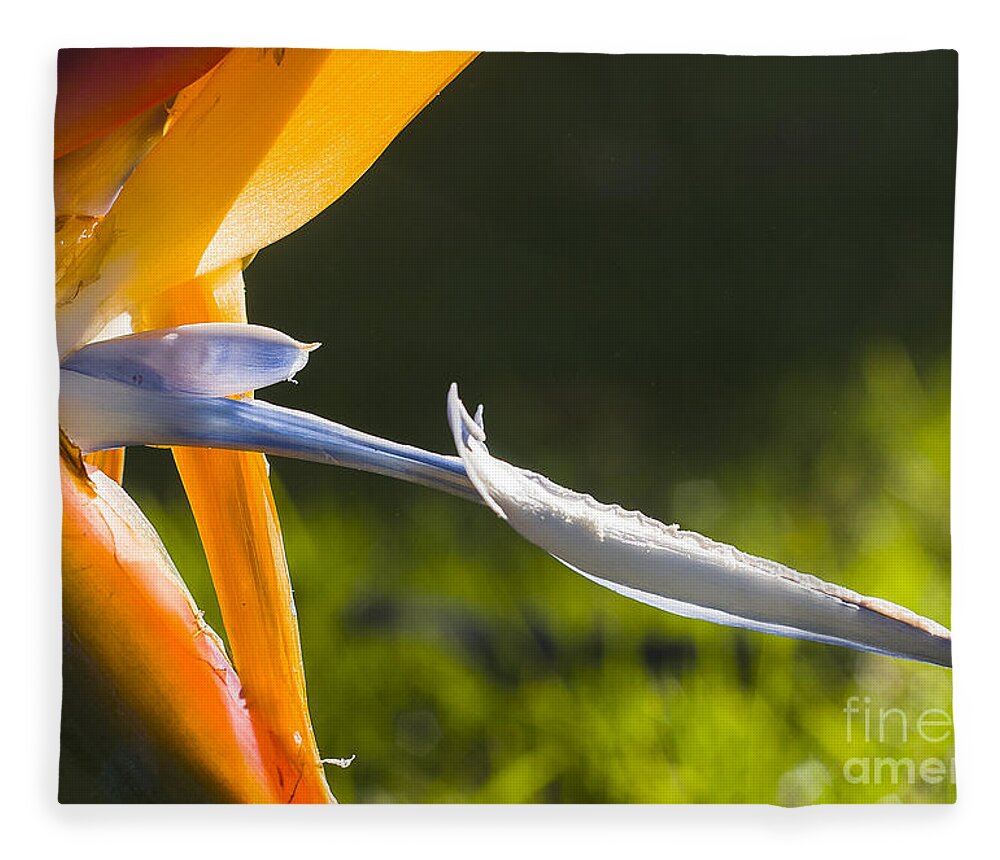 Australia Fleece Blanket featuring the photograph Bird of Paradise by Steven Ralser