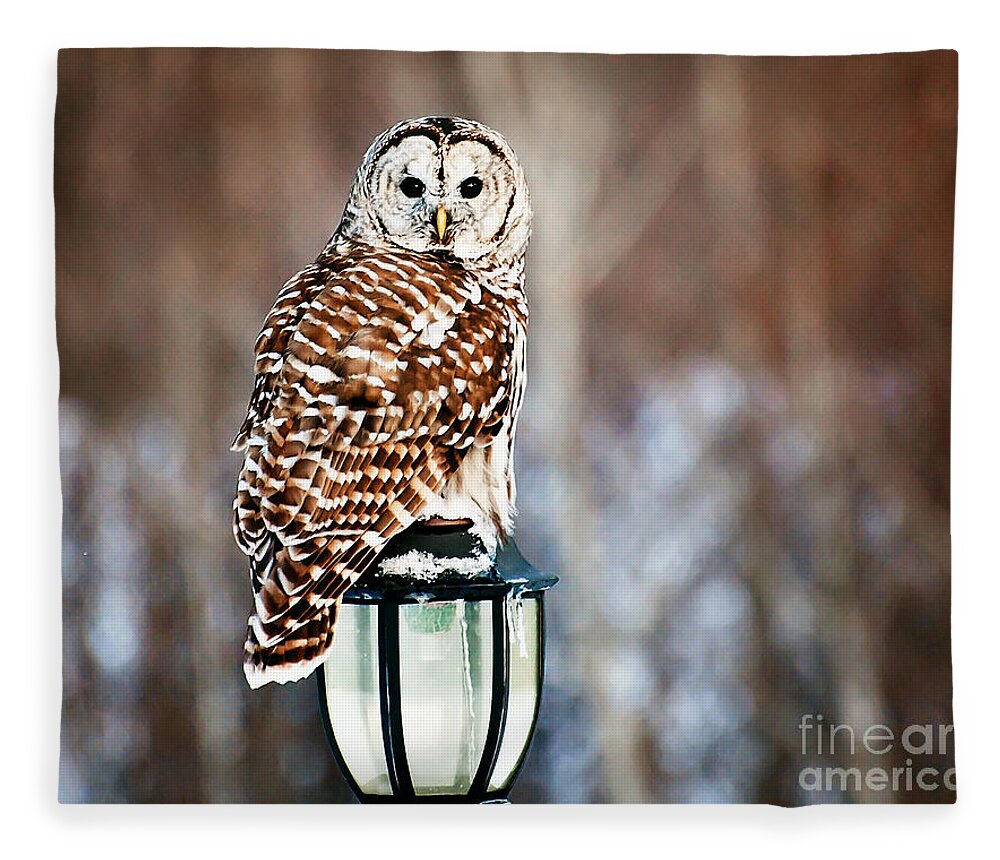 Barred Owl Print Fleece Blanket featuring the photograph Bird of Prey Barred Owl by Gwen Gibson