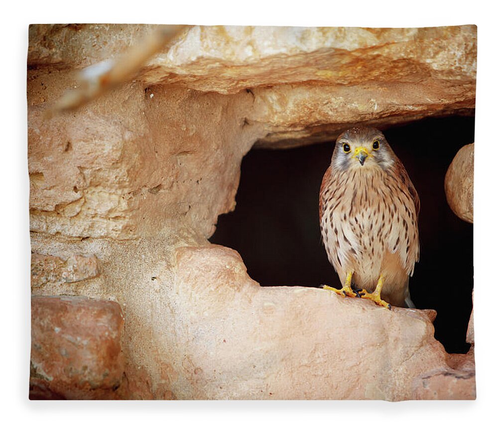 Hiding Fleece Blanket featuring the photograph Bird Perched In The Opening Of A Cave by Reynold Mainse / Design Pics