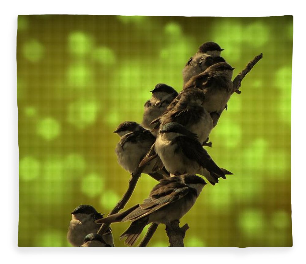 Bird Fleece Blanket featuring the photograph Birds of A Feather by David Dehner