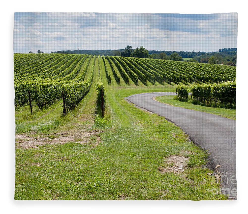 Landscape Fleece Blanket featuring the photograph Maryland Vinyard in August by Thomas Marchessault