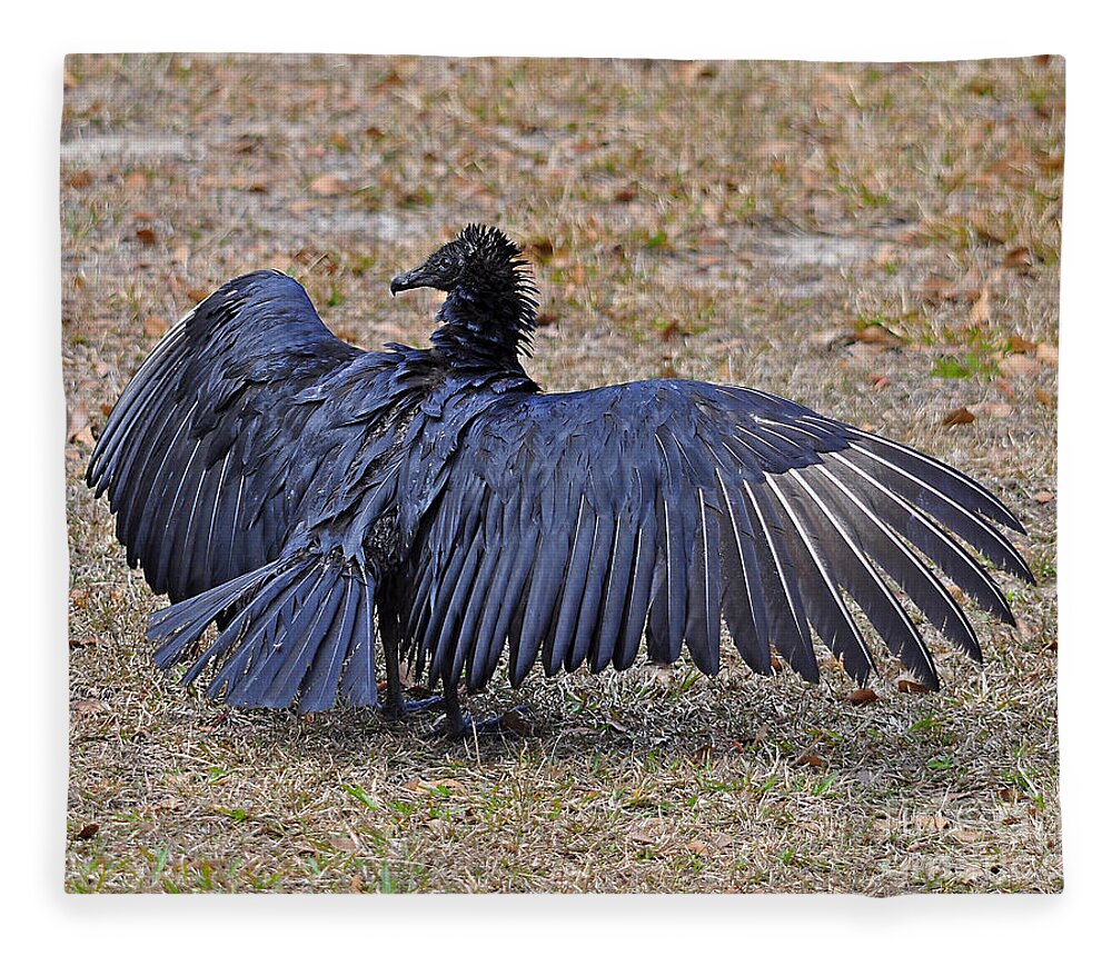 Vulture Fleece Blanket featuring the photograph Black Buzzard Back by Al Powell Photography USA