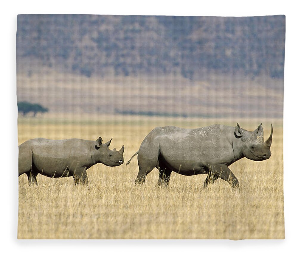 Feb0514 Fleece Blanket featuring the photograph Black Rhinoceros And Calf Ngorongoro by Konrad Wothe