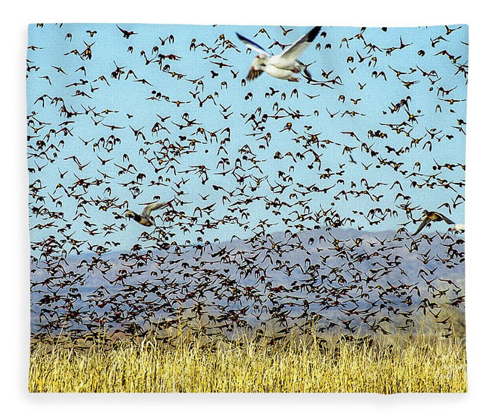 Birds Fleece Blanket featuring the photograph Blackbirds and Geese by Steven Ralser