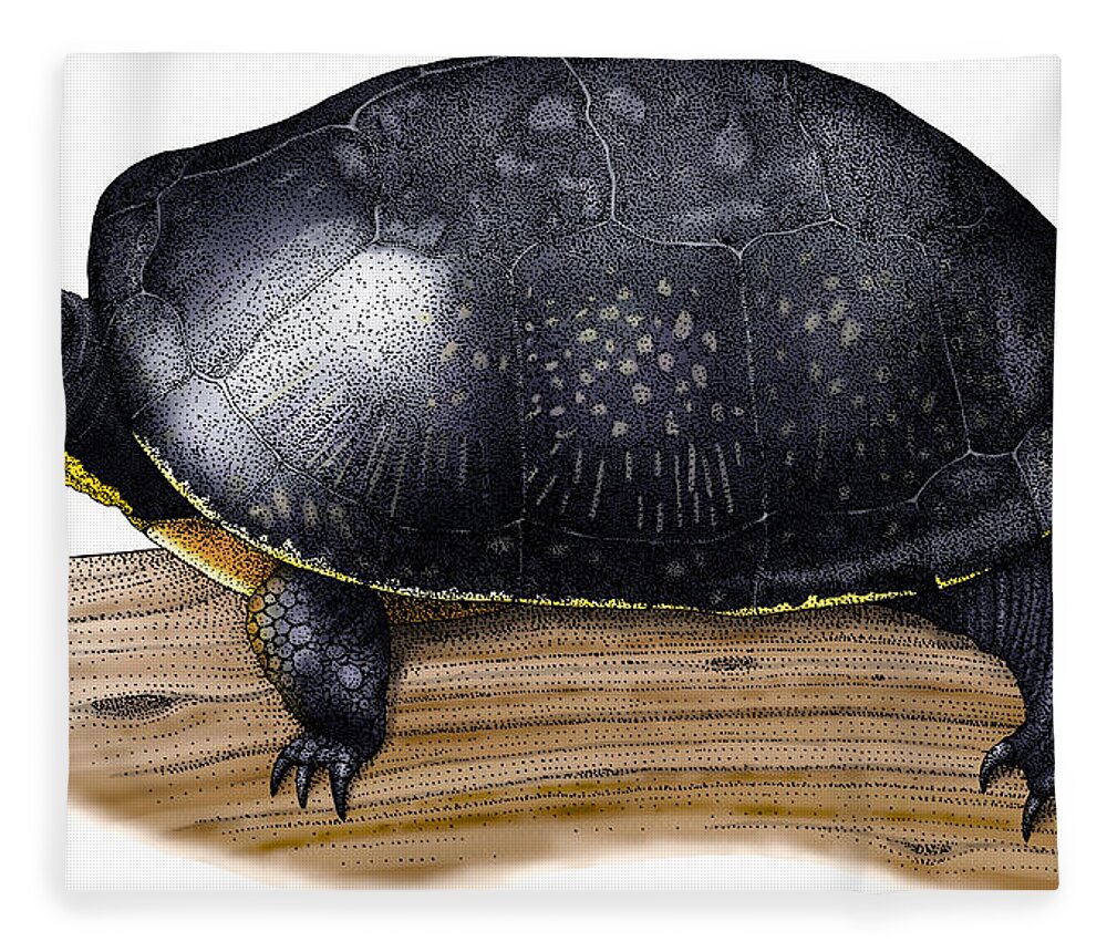 Art Fleece Blanket featuring the photograph Blandings Turtle by Roger Hall