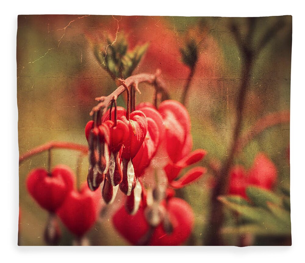 Love Fleece Blanket featuring the photograph Bleeding Hearts by Spikey Mouse Photography