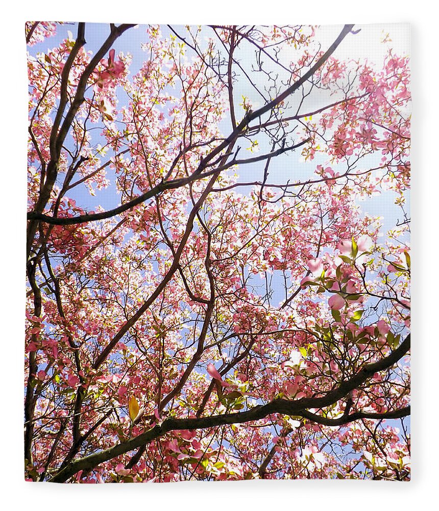 Flowers Fleece Blanket featuring the photograph Blossoming Pink by Robyn King