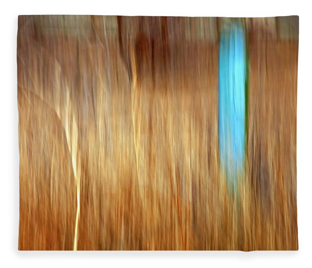 Outdoors Fleece Blanket featuring the photograph Blue Fencepost by Theresa Tahara