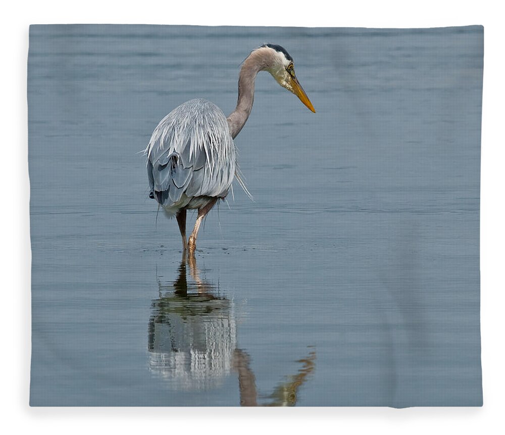 Animal Fleece Blanket featuring the photograph Blue Heron Hunting in Puget Sound by Jeff Goulden