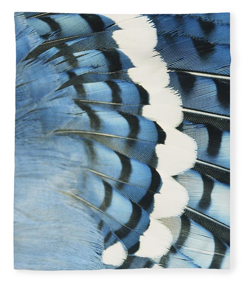 Blue Jay Feathers Fleece Blanket by Tom Martin - Science Source Prints -  Website