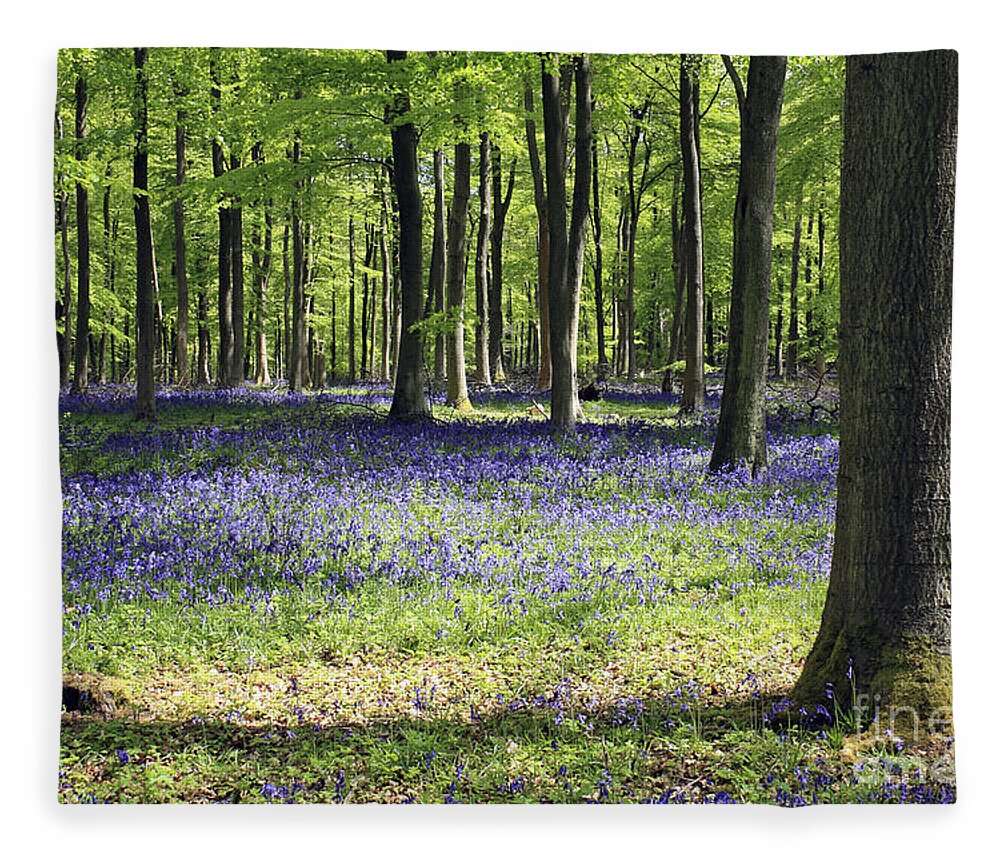 Bluebell Wood Uk Bluebells Forest Beech Tree Trees English Landscape Countryside Woodland Spring Summer Surrey Fleece Blanket featuring the photograph Bluebell Wood UK by Julia Gavin
