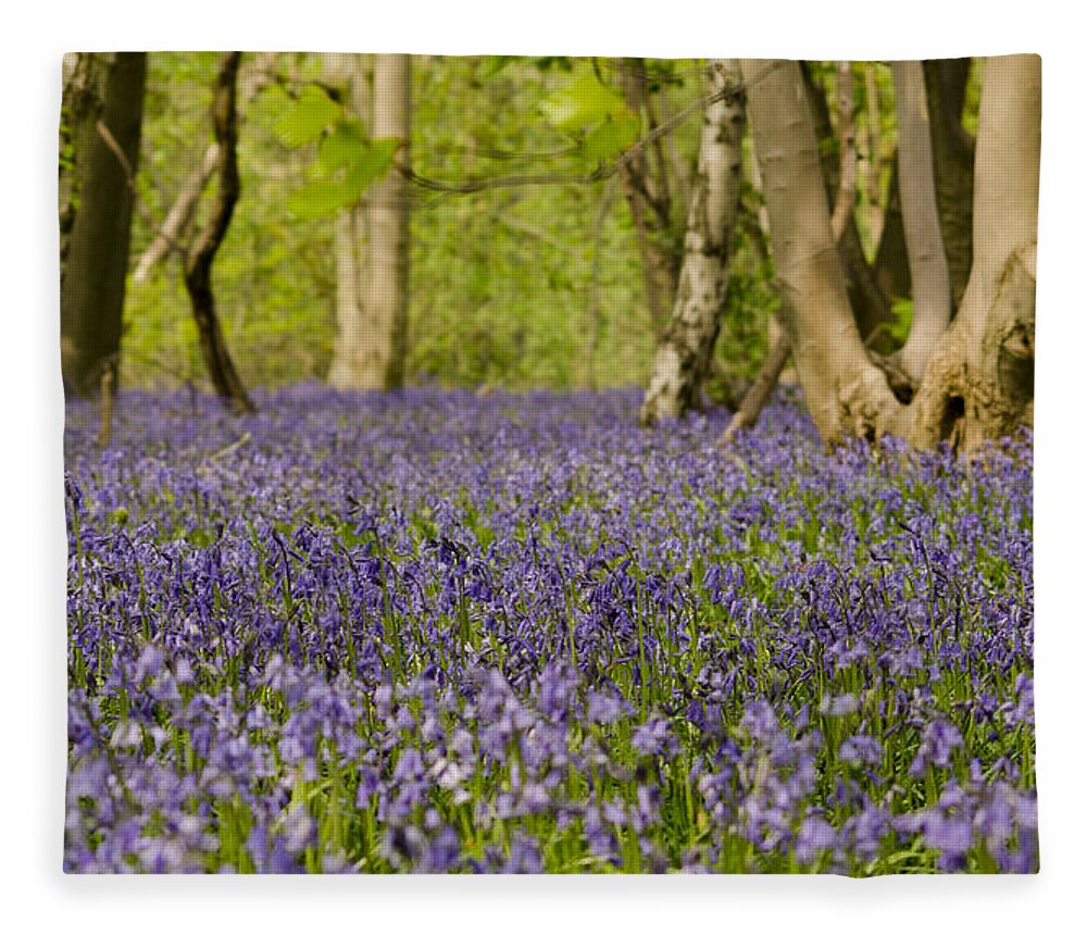 Forest Fleece Blanket featuring the photograph Bluebell Woods by Spikey Mouse Photography