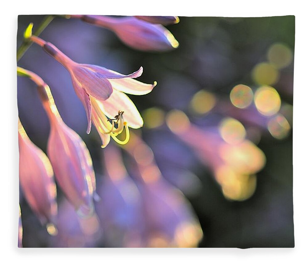 Photograph Fleece Blanket featuring the photograph Bluebells by Tracy Male