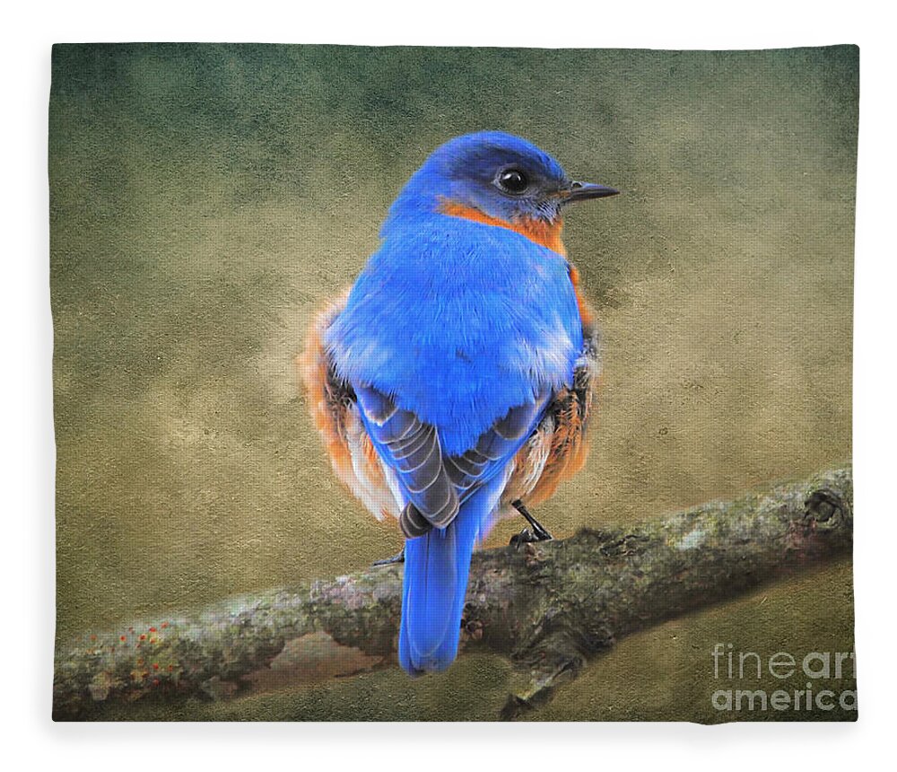 Bluebird Fleece Blanket featuring the photograph Bluebird by Jai Johnson