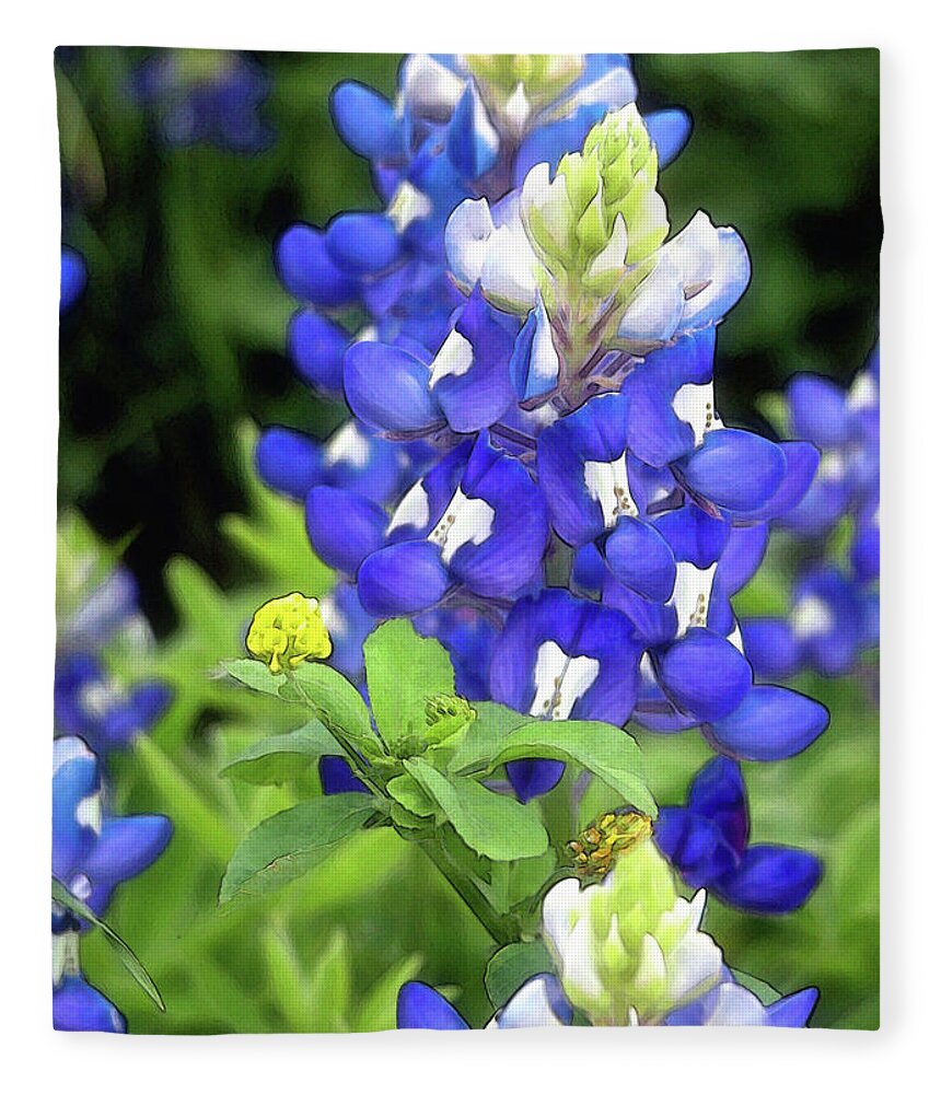 Bluebonnet Fleece Blanket featuring the photograph Bluebonnets Blooming by Stephen Anderson
