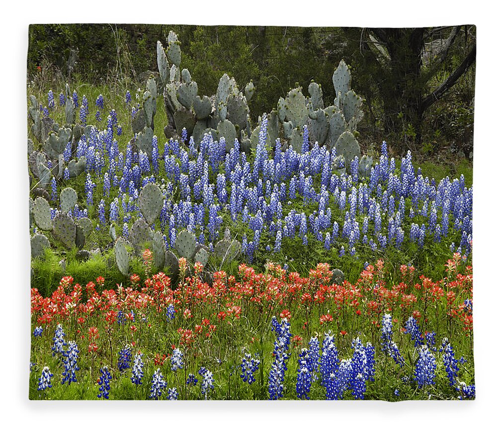 00442674 Fleece Blanket featuring the photograph Bluebonnets Paintbrush and Prickly Pear by Tim Fitzharris