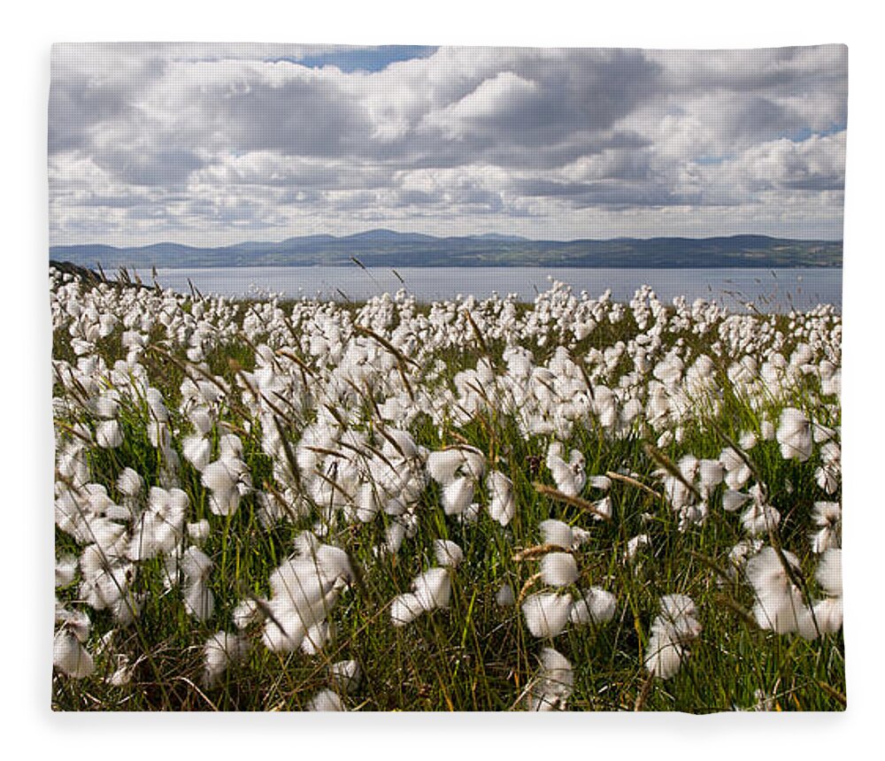 Binevenagh Fleece Blanket featuring the photograph Bog Cotton on Binevenagh by Nigel R Bell
